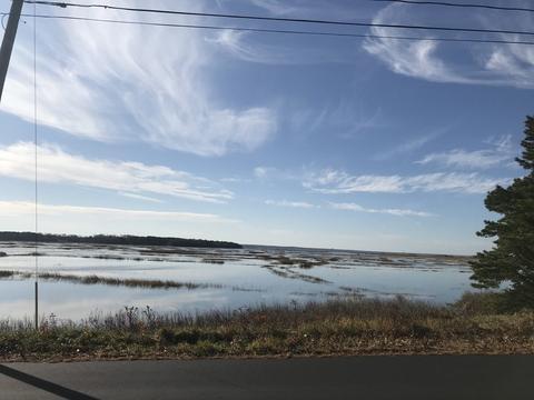 720 Herring Brook Rd, Eastham, MA 02642 photo 4