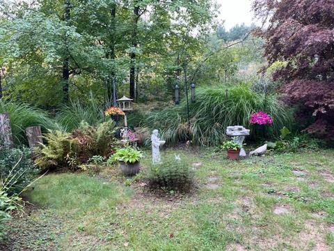 15 Chestnut Rd, Norfolk, MA 02056 photo 36