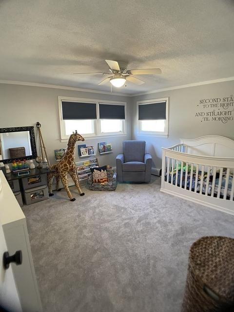 53 Treetop Ave, Springfield, MA 01118 photo 5