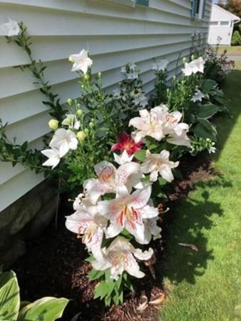 34 Emerald Ave, Webster, MA 01570 photo 4