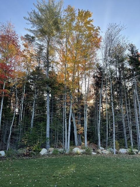 245 Brookside Dr, Gardner, MA 01440 photo 34