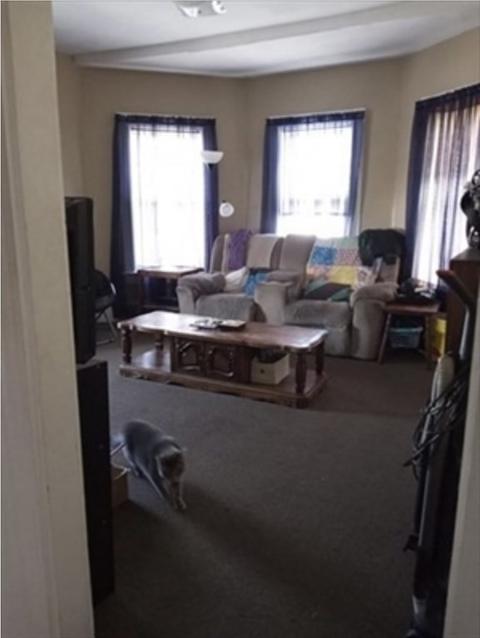 87 Tuttle St, Fall River, MA 02724 photo 15