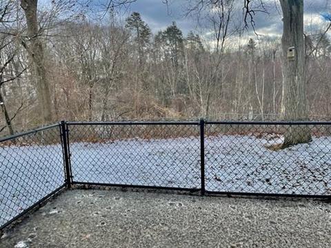 367 Irene St, Chicopee, MA 01020 photo 29