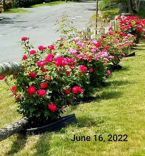 15 Beach Rd, Gloucester, MA 01930 photo 33