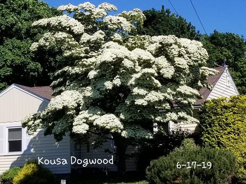 15 Beach Rd, Gloucester, MA 01930 photo 35