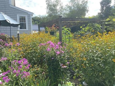 36 Willow St, Braintree, MA 02184 photo 28