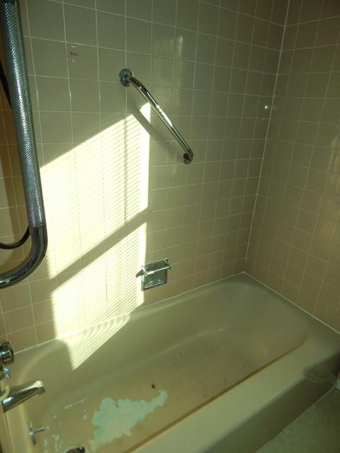 75 Clydesdale Ln, Springfield, MA 01119 photo 10