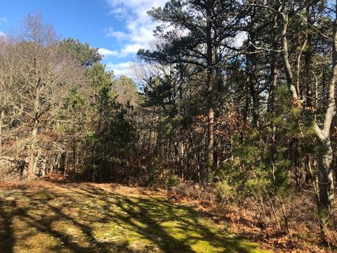 2 Grassy Knoll Cir, Mashpee, MA 02649 photo 3