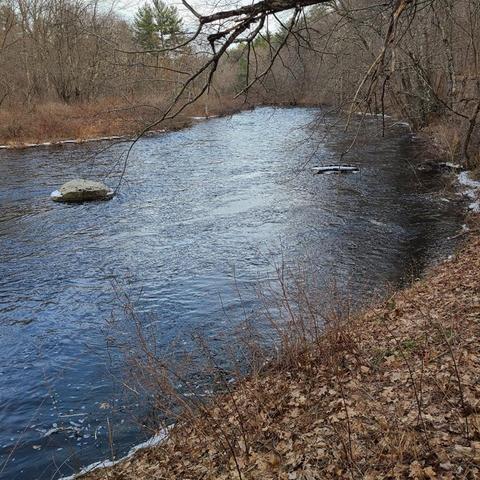42 Bacon Rd, Ware, MA 01082 photo 9