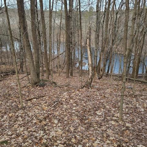 42 Bacon Rd, Ware, MA 01082 photo 4