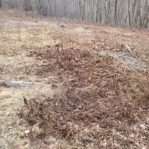 42 Bacon Rd, Ware, MA 01082 photo 2