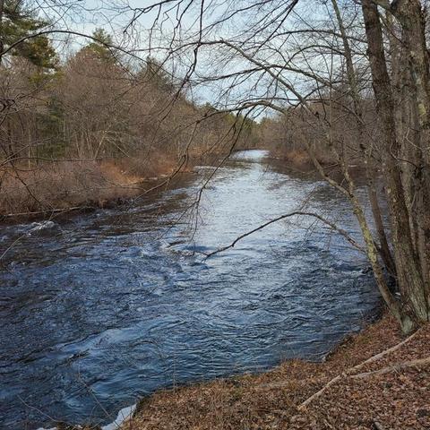 42 Bacon Rd, Ware, MA 01082 photo 7