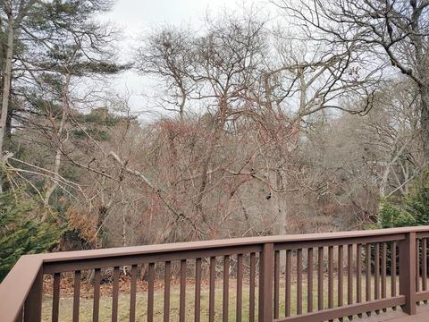 43 Cappawack Rd, Mashpee, MA 02649 photo 9