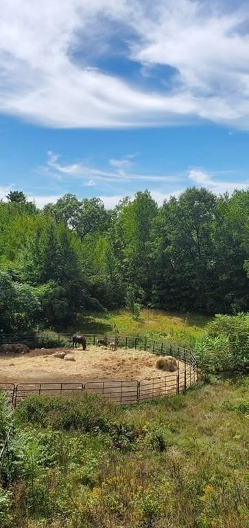 197 Lyons Hill Rd, Athol, MA 01331 photo 33