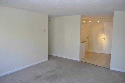 15 Staples Ave #23, Everett, MA 02149 photo 3