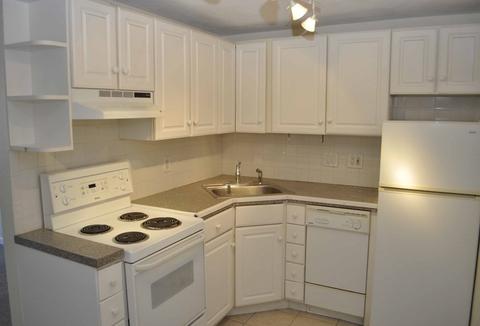 15 Staples Ave #23, Everett, MA 02149 photo 2