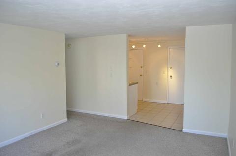 15 Staples Ave #23, Everett, MA 02149 photo 10