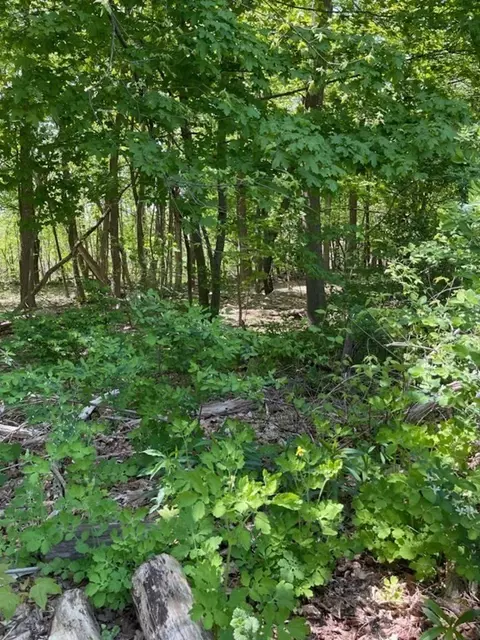 Lot A Alton Ave, Haverhill, MA 01835