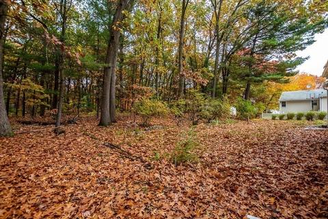 75 Mckinley Ave, Dedham, MA 02026 photo 35