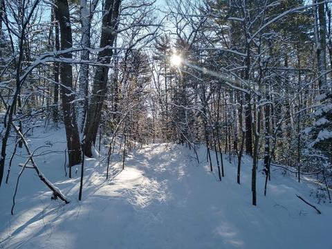 106 Taft St, Upton, MA 01568 photo 33