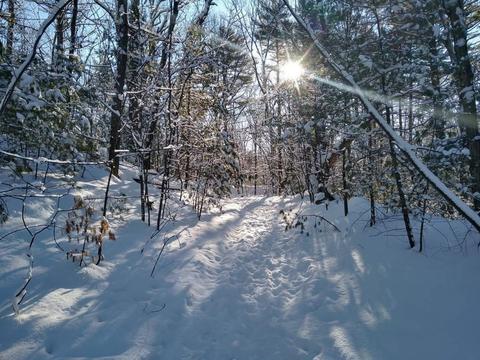 106 Taft St, Upton, MA 01568 photo 34