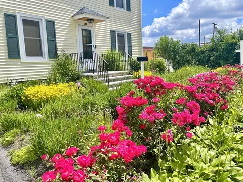 142 Calvary St, Waltham, MA 02453
