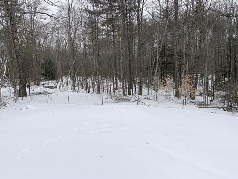 105 Gardner Rd, Winchendon, MA 01475 photo 30