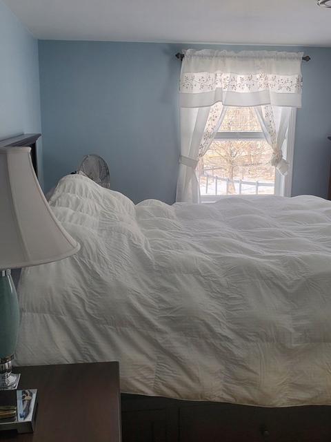 413 Belchertown Rd, Ware, MA 01082 photo 17