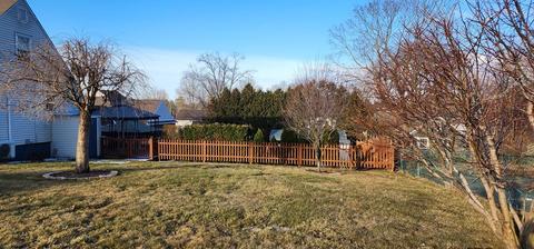 16 Abbott St, Springfield, MA 01118 photo 3