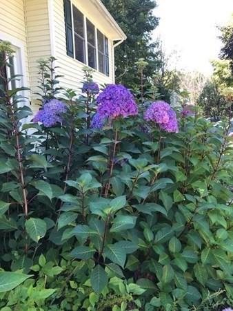 7 Arrowhead Dr, Hadley, MA 01035 photo 6