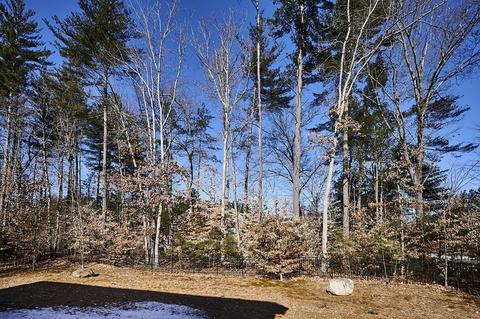 1 Nikkis Way, Hadley, MA 01035 photo 38