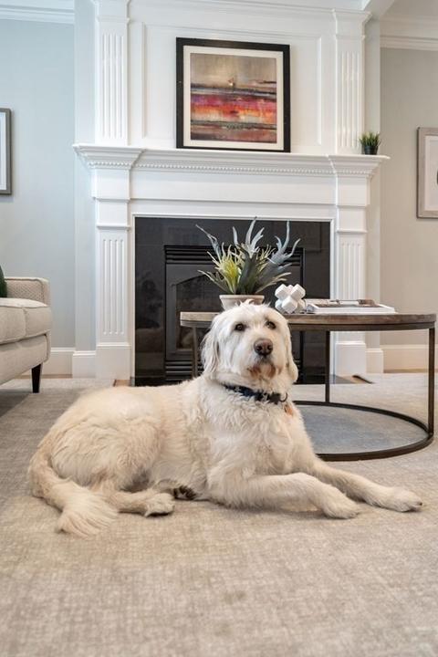 51 Baker Pl, Newton, MA 02462 photo 7
