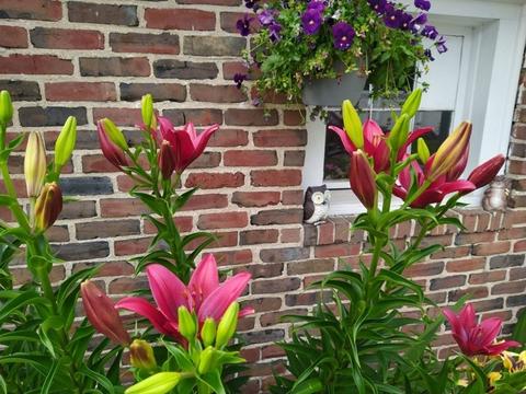 2020 Wilbraham Rd, Springfield, MA 01129 photo 36