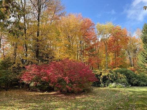 65 Purgatory Rd, Sutton, MA 01590 photo 37
