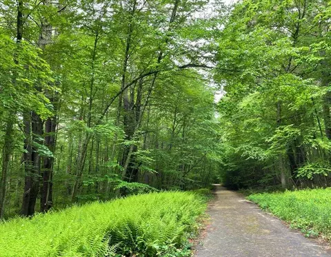 20 Triangle Farm Ln, Acton, MA 01720 photo 3