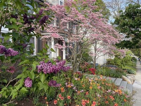 85 Stanton Rd, Brookline, MA 02445 photo 33