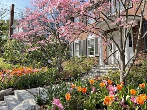 85 Stanton Rd, Brookline, MA 02445 photo 34