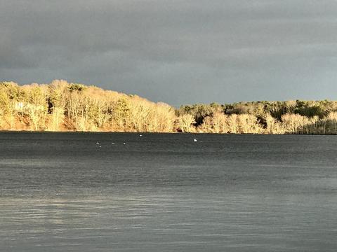 7 Kimberly Way, Cotuit, MA 02635 photo 36