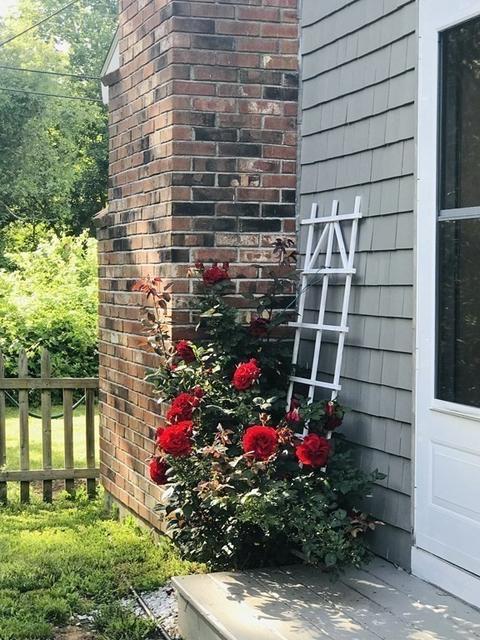 7 Kimberly Way, Cotuit, MA 02635 photo 32