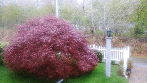 35 Baltic Rd, Worcester, MA 01607 photo 4