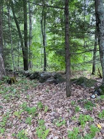 40877 New Athol Rd # -4, Petersham, MA 01366