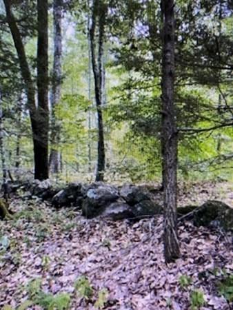40877 New Athol Rd # -3, Petersham, MA 01366