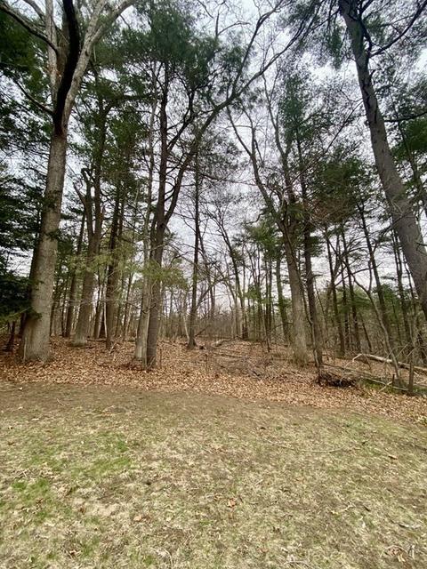 18 Druid Hill Rd, Springfield, MA 01129 photo 33