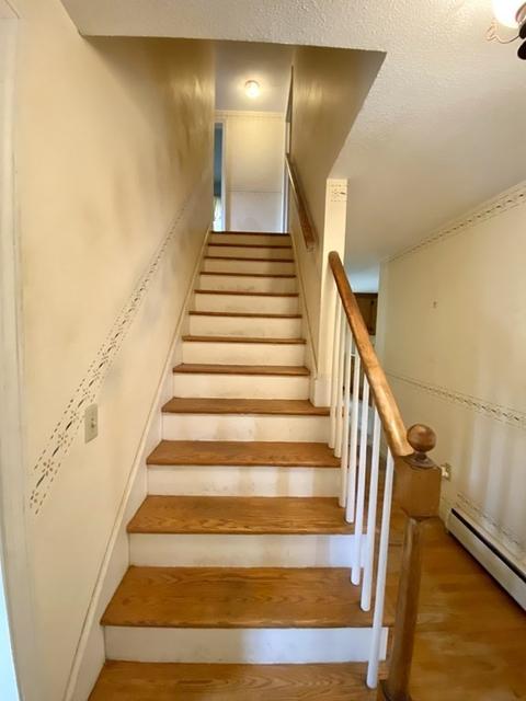 18 Druid Hill Rd, Springfield, MA 01129 photo 20