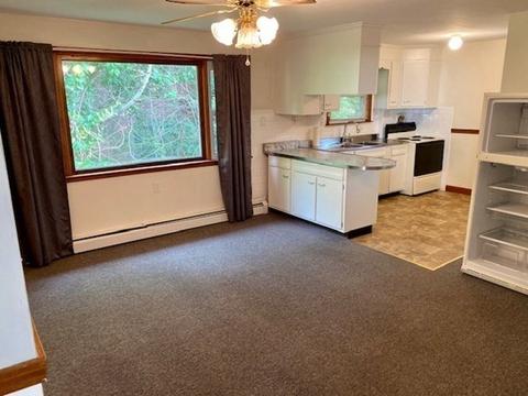 19 Mcrae Ct, Worcester, MA 01604 photo 6