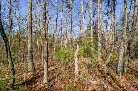2 Westboro Road, Upton, MA 01568 photo 7