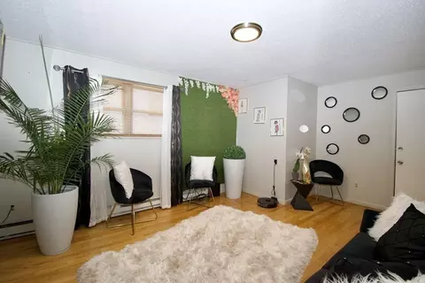 73 Melville St, Springfield, MA 01104 photo 7