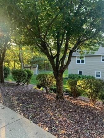 1 Ginley Rd, Walpole, MA 02081 photo 37
