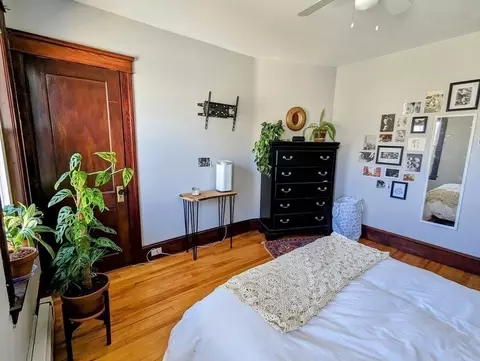 67 5th Ave #3, Worcester, MA 01607 photo 29