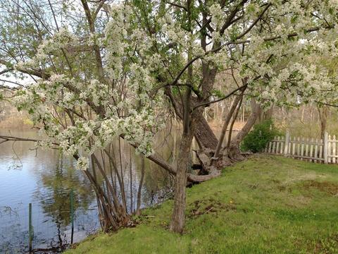104 E Main St, Ayer, MA 01432 photo 38
